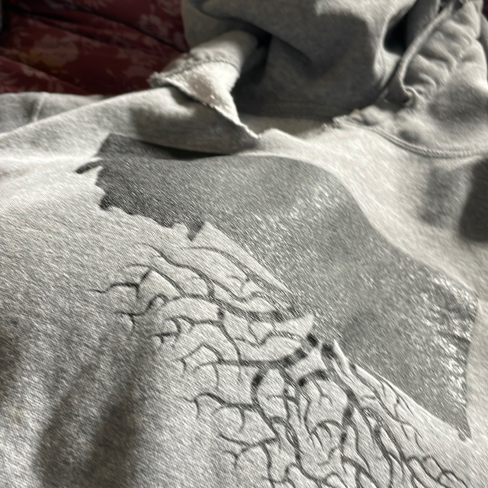 MT roots hoody